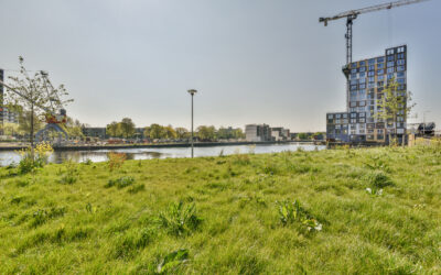 Integrating green spaces into large-scale residential developments